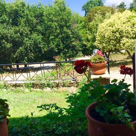 Διαμέρισμα Στην Περιοχή Εθνικής Αντίστασης Apartment Igoumenitsa Exterior foto